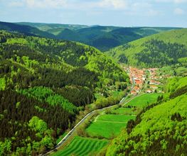 Pension Steinbergsblick Bild 10
