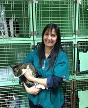 Cabinet Vétérinaire des Sources SA Bild 1