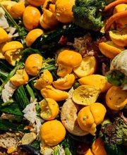 BioCycling GmbH Bild 7