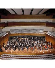 Bochumer Symphoniker Bild 2