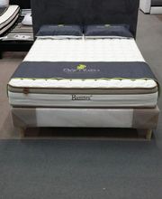 Globe Trocker image 13