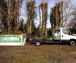 Service Espace Vert image 10