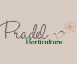 Jardi Pradel image 1