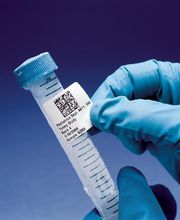 Schärer + Kunz AG Bild 7