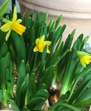 Homburger Hörhaus, Leppert & Weidmann OHG Bild 9