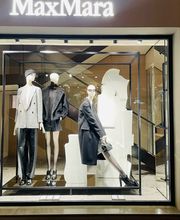 Max Mara immagine 1