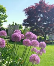 Portmann H. Gartenbau GmbH Bild 9