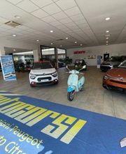 Gallery Cliente