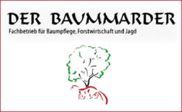 Der Baummarder