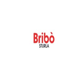 Autocarrozzeria Bribo logo