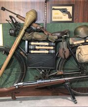 Le Coq de Bruyère image 1