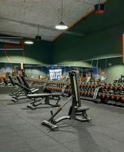 Basic-Fit 24/7 image 2