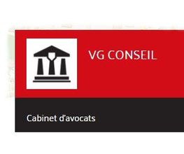 VG Conseil image 2
