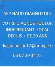 A.E.P DIAGNOSTICS NAUD J-P image 1