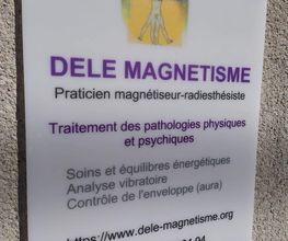 Dele Magnetisme image 2