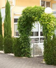 eXo Individual Hotel Waghäuseler Hof Bild 6