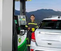 bp imagen 5