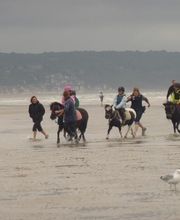 Club Hippique La Cavale image 10