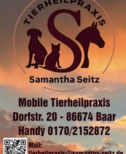 Tierheilpraxis Seitz Bild 5