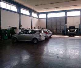 Gallery Cliente