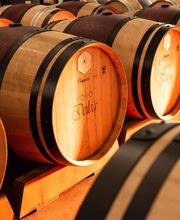 Delea Angelo SA Bild 3