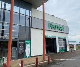 Feu Vert image 2