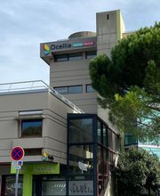 OCELLIA image 5