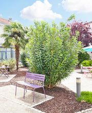 EHPAD Résidence L'Ombrière image 4