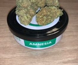 GREEN BUDD CBD PORNIC image 13