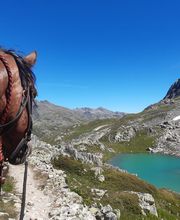 Les Sabots de Vénus image 18