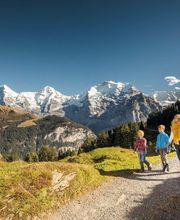 Winteregg-Mürren - Top of Family Bild 3