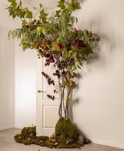 Vignolo Floral Studio | Floristería Chamartín imagen 13