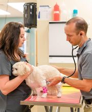 Willowrun Veterinary Hospital image 19