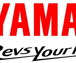 YAM34 - Yamaha image 3