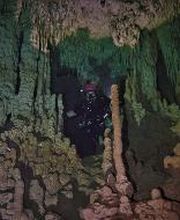 Jaguar Divers - Dive Shop in Playa del Carmen imagen 12