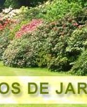 servicios-jardineria-GETAFE.jpg