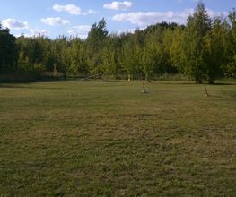 Hundeschule Mosig Bild 13