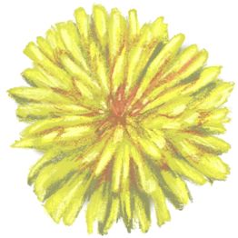 Dandelion Art