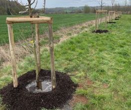 Garten- und Landschaftspflege Holger Greschok Bild 3