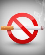 Salvert Régis image 1