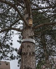 KH Anti-Nuisibles 3D image 2