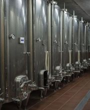 Cave du Consul Bild 2