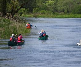 Canoe Diffusion image 2