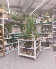 Centrakor / Zoé Confetti Trélissac image 6