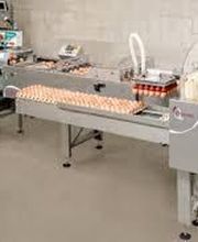 Premel Cabic image 10