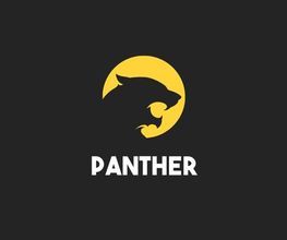 Panther Informatique image 4