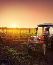 Excavaciones N Roberto Calvo SL imagen 6