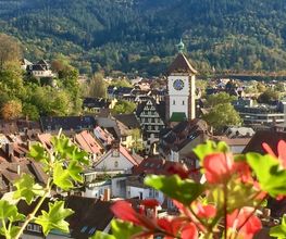 Freiburg-Guide Bild 12