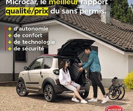 Voiture Sans Permis image 18