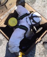 Gallery Professionale